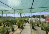 5000m² warehouse for sale in Esparreguera photo