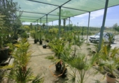 5000m² warehouse for sale in Esparreguera photo