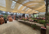 5000m² warehouse for sale in Esparreguera photo