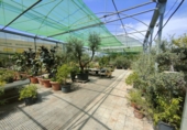 5000m² warehouse for sale in Esparreguera photo