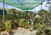 5000m² warehouse for sale in Esparreguera photo