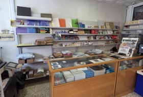 Foto 15