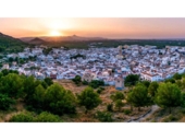 60m² commercial premises for sale in Oliva photo