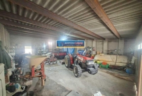 Foto 7