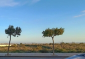 Local comercial en venta con 117m² en Crevillente foto