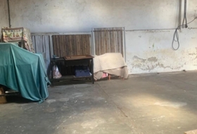 Foto 5
