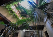 Edificio en venta con 550m² en Almuñécar foto
