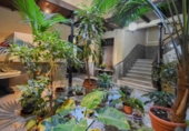 Edificio en venta con 550m² en Almuñécar foto