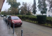 Local comercial
en venda
amb 126m² a Còrdova, Calle Platino foto