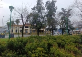 Local comercial
en venda
amb 126m² a Còrdova, Calle Platino foto