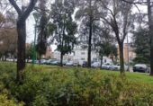 Local comercial
en venda
amb 126m² a Còrdova, Calle Platino foto