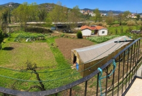 Foto 15