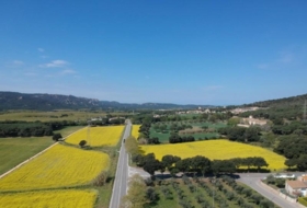 Foto 10