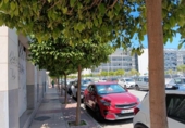 Oficinas en venta con 320m² en Murcia, avda. principe de asturias foto