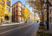52m² locaux commerciaux pour vente à Grenade, photo