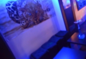 Restaurante en traspaso con 80m² en Esplugues de Llobregat foto