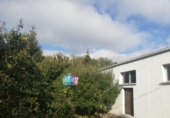  entrepôt industriel pour vente à Treviño, photo