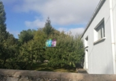  entrepôt industriel pour vente à Treviño, photo