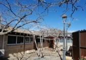 4500m² building industrial for sale in Chimiche, Calle Las Crucitas photo