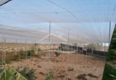 4500m² building industrial for sale in Chimiche, Calle Las Crucitas photo
