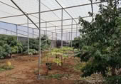 4500m² building industrial for sale in Chimiche, Calle Las Crucitas photo