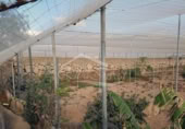 4500m² building industrial for sale in Chimiche, Calle Las Crucitas photo