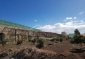 4500m² building industrial for sale in Chimiche, Calle Las Crucitas photo