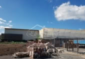4500m² building industrial for sale in Chimiche, Calle Las Crucitas photo