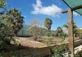 4500m² building industrial for sale in Chimiche, Calle Las Crucitas photo