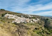 Bar en venta con 316m² en Sorvilán, Calle Hierbabuena foto