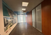  offices for rent in Torrevieja, Avenida Baleares photo