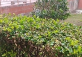 Local comercial en venta con 28m² en Guecho, Calle Jata foto