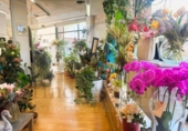  locaux commerciaux pour vente à Manresa, photo