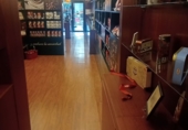 Local comercial en alquiler con 90m² en Madrid, en la zona de Goya foto