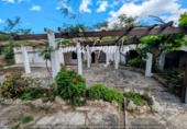465m² restaurant for sale in Ferrerías, Me-22 photo