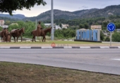 Local comercial en alquiler con 250m² en Alcora foto
