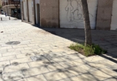 Local comercial
en venda
amb 130m² a Sant Vicent del Raspeig, Calle Agost foto