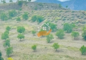 Nau
en venda
amb 500m² a Vélez-Rubio foto