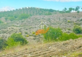 Nau
en venda
amb 500m² a Vélez-Rubio foto