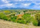 Nau
en venda
amb 500m² a Vélez-Rubio foto
