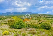 Nau
en venda
amb 500m² a Vélez-Rubio foto
