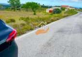 Nau
en venda
amb 500m² a Vélez-Rubio foto