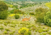 Nau
en venda
amb 500m² a Vélez-Rubio foto
