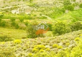 Nau
en venda
amb 500m² a Vélez-Rubio foto