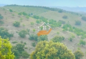 Nau
en venda
amb 500m² a Vélez-Rubio foto