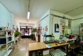 Foto 7