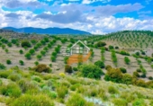 Nau
en venda
amb 500m² a Vélez-Rubio foto