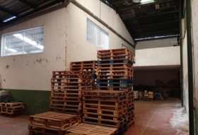 Foto 15