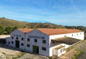 Local comercial en venta con 1929m² en Hondón de los Frailes, CV-845 foto