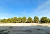 Local comercial en venta con 1929m² en Hondón de los Frailes, CV-845 foto